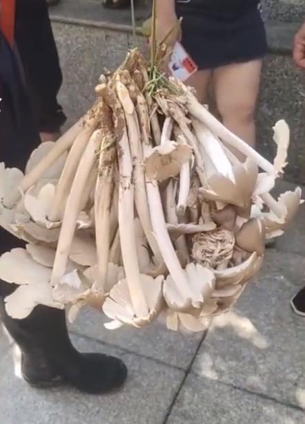 多彩贵州，山歌悠扬